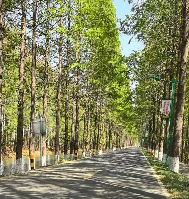 2025年天长市千秋网络组织淘宝店铺设计/抖音美工运营部员工春游